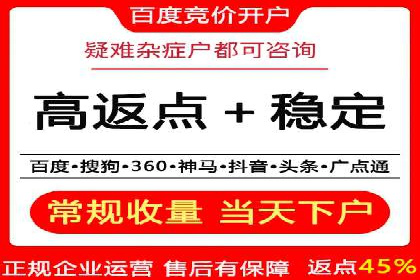 百度推广成功案例分析